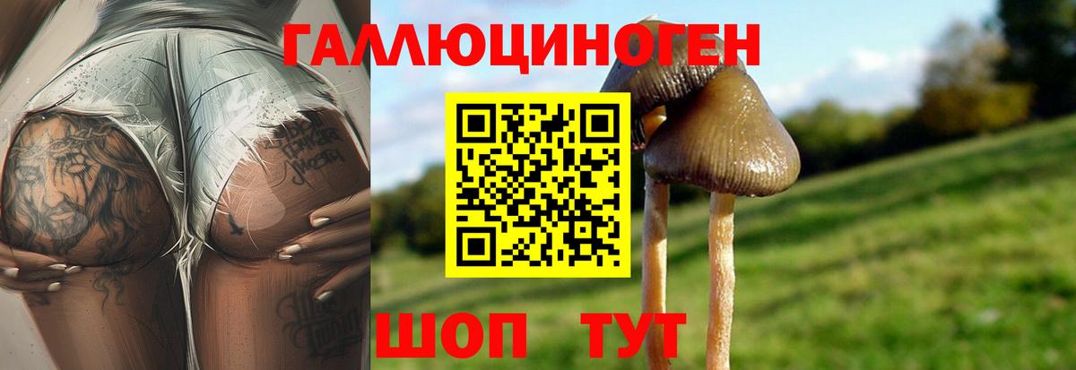 Галлюциногенные грибы GOLDEN TEACHER  Вход с VPN  продажа наркотиков  Псилоцибиновые грибы MAGIC MUSHROOMS  Чебаркуль 